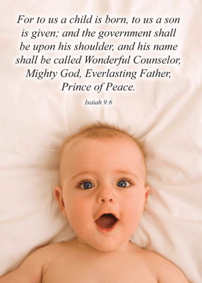 Kodak custom christmas cards