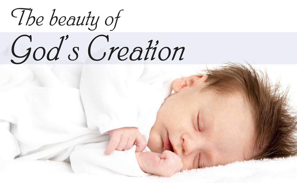 Bulletin, Beauty of God's Creation, 100/pk