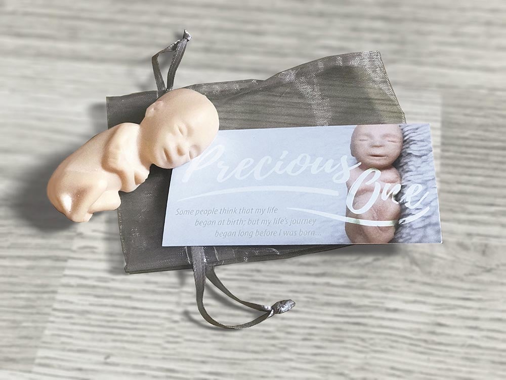 Fetal Model, Precious One, White Individually Package, English Card: Pack of (50)